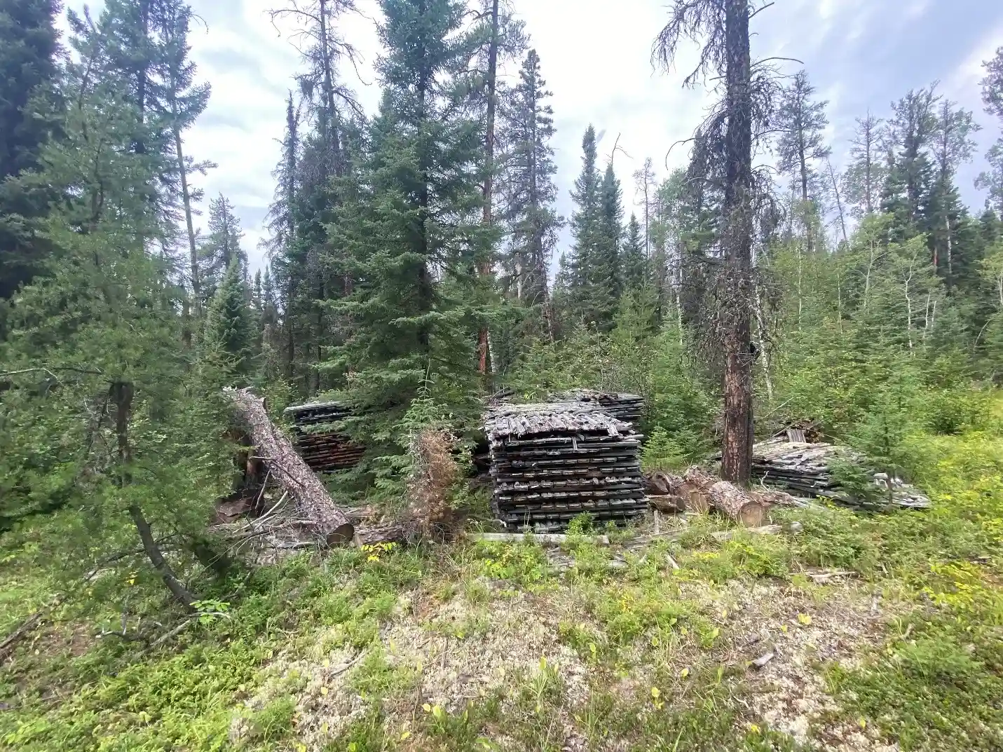 page_images (1) (1) (1)