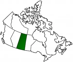 searchlight-canada-saskatchewan.300x0-is